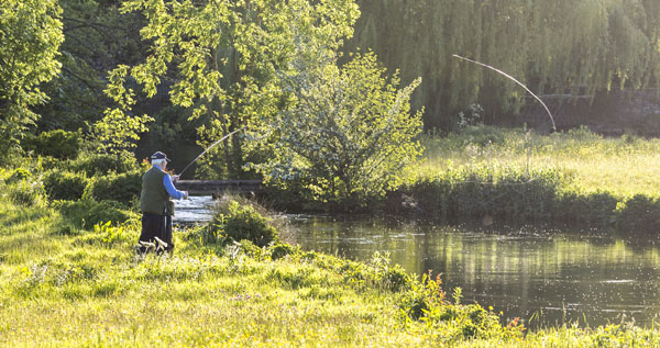 Cottages with Fishing Onsite