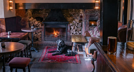 Huisjes waar honden welkom zijn, vlakbij pubs