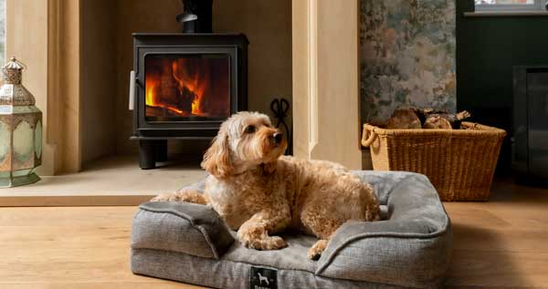 Dog friendly cottages with enclosed garden